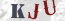 Güvenlik Resmi